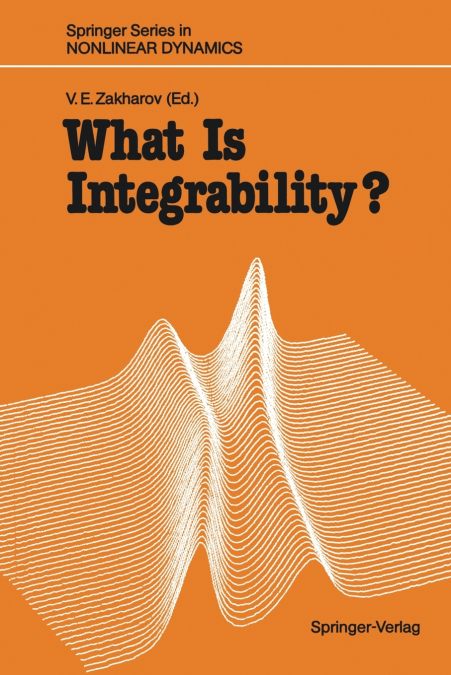 What Is Integrability?