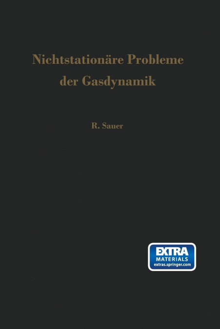 Nichtstationäre Probleme der Gasdynamik