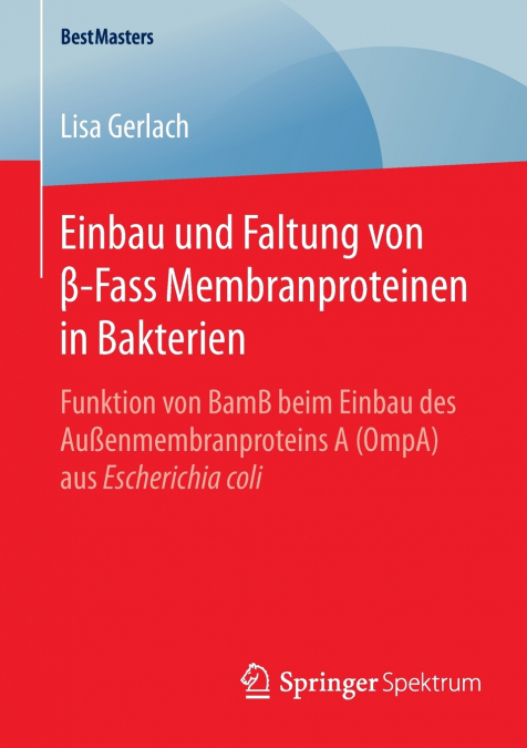 Einbau und Faltung von β-Fass Membranproteinen in Bakterien
