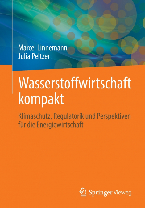 Wasserstoffwirtschaft kompakt