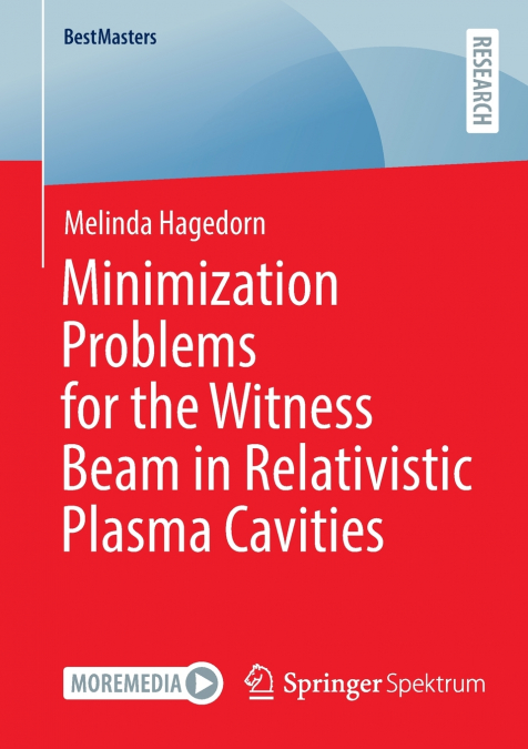 Minimization Problems for the Witness Beam in Relativistic Plasma Cavities