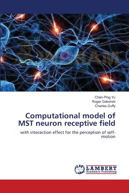 Computational model of MST neuron receptive field