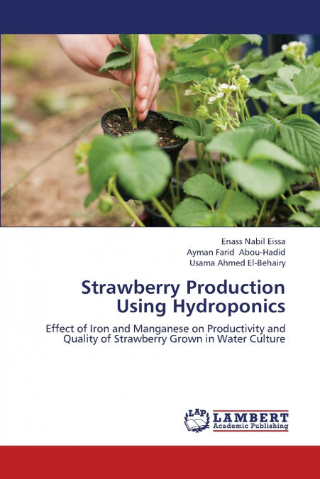 Strawberry Production Using Hydroponics