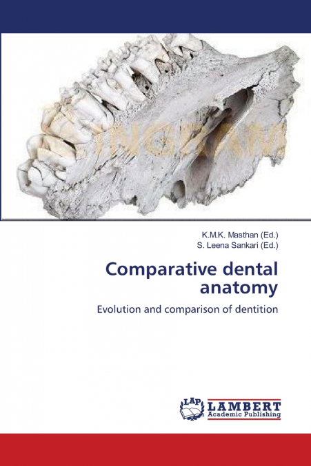 Comparative dental anatomy