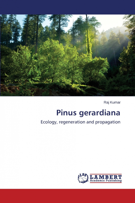 Pinus gerardiana