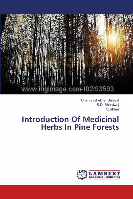 Introduction Of Medicinal Herbs In Pine Forests