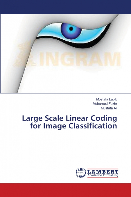 Large Scale Linear Coding for Image Classification