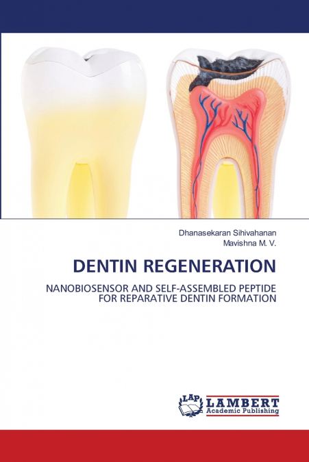 DENTIN REGENERATION