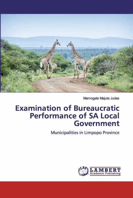 Examination of Bureaucratic Performance of SA Local Government