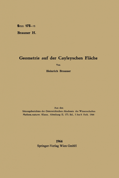 Geometrie auf der Cayleyschen Fläche