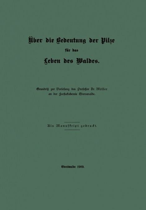 Uber Die Bedeutung Der Pilze Fur Das Leben Des Waldes