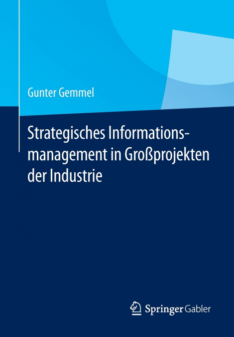 Strategisches Informationsmanagement in Großprojekten der Industrie