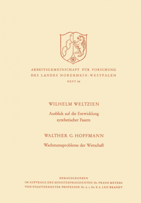 Ausblick Auf Die Entwicklung Synthetischer Fasern. Wachstumsprobleme Der Wirtschaft