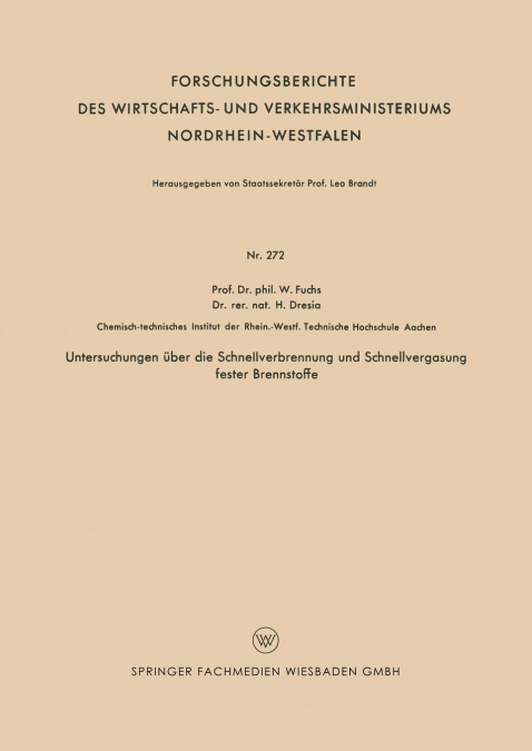 Untersuchungen Uber Die Schnellverbrennung Und Schnellvergasung Fester Brennstoffe
