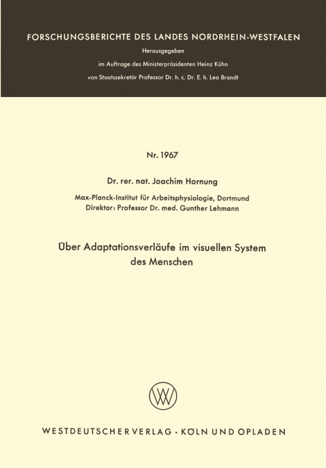 Über Adaptationsverläufe im visuellen System des Menschen