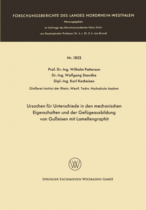 Ursachen für Unterschiede in den mechanischen Eigenschaften und der Gefügeausbildung von Gußeisen mit Lamellengraphit