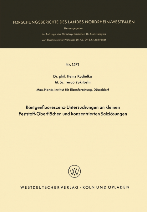 Röntgenfluoreszenz-Untersuchungen an kleinen Feststoff-Oberflächen und konzentrierten Salzlösungen