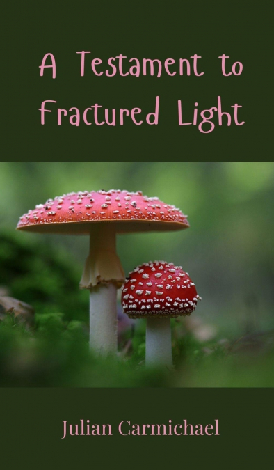 A Testament to Fractured Light