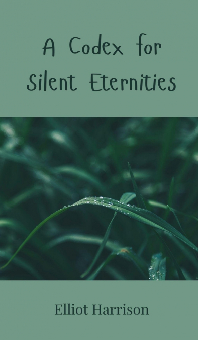 A Codex for Silent Eternities