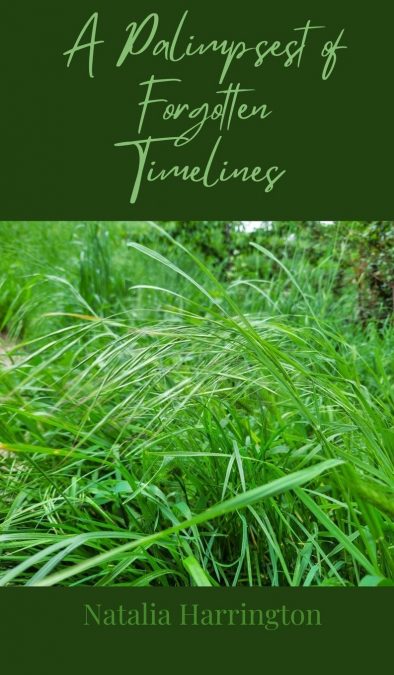 A Palimpsest of Forgotten Timelines