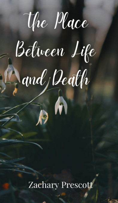 The Place Between Life and Death