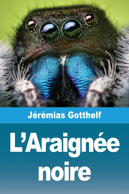 L’Araignée noire