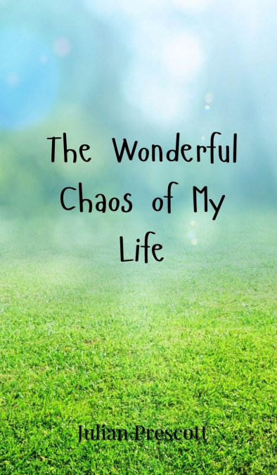 The Wonderful Chaos of My Life