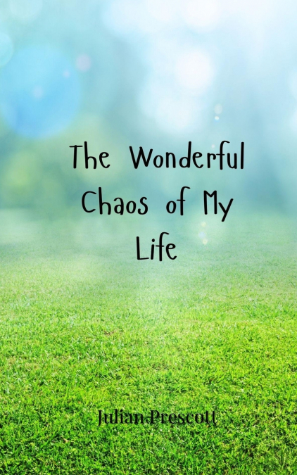 The Wonderful Chaos of My Life