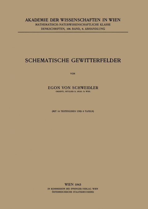 Schematische Gewitterfelder