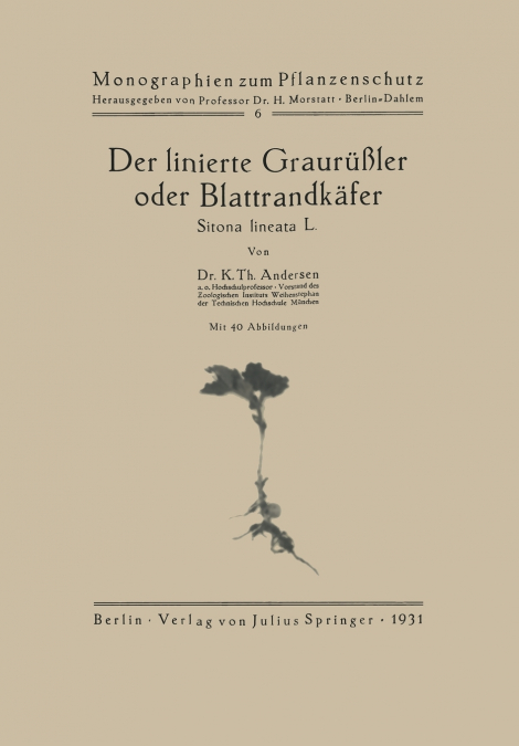 Der Linierte Graurussler Oder Blattrandkafer