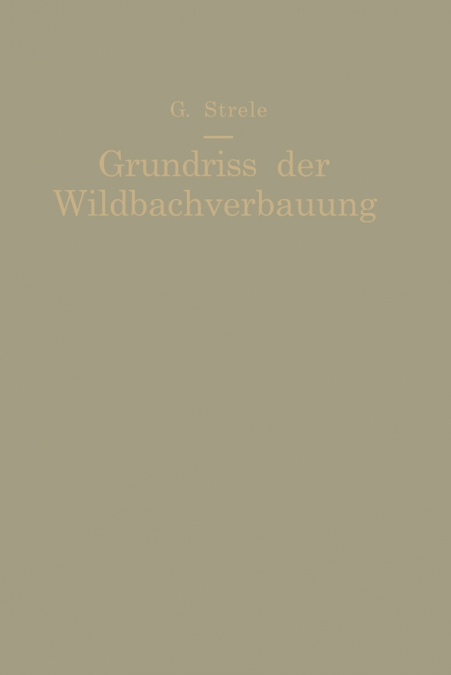 Grundriss Der Wildbachverbauung