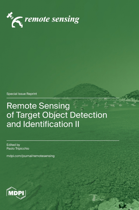 Remote Sensing of Target Object Detection and Identification II