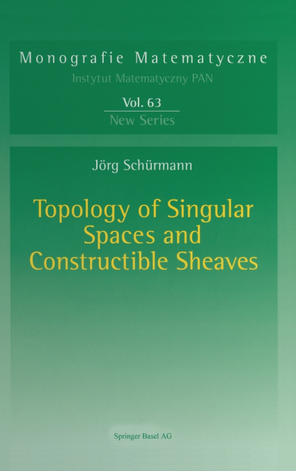 Topology of Singular Spaces and Constructible Sheaves