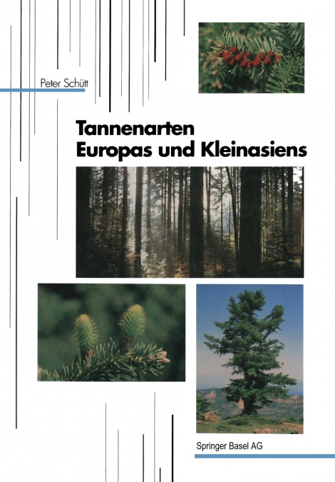 Tannenarten Europas Und Kleinasiens