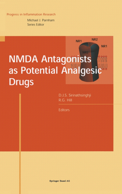 NMDA Antagonists as Potential Analgesic Drugs