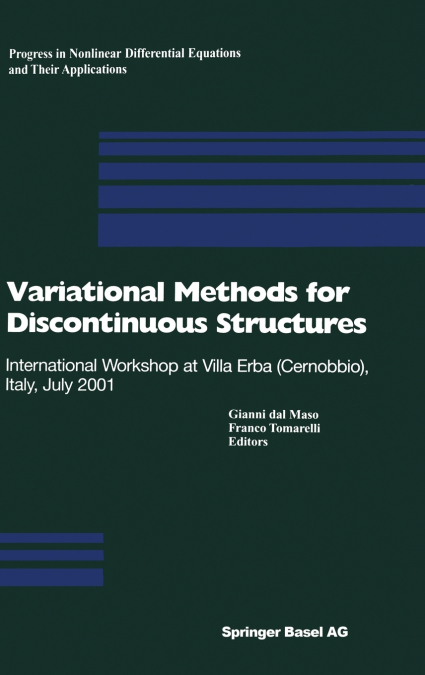 Variational Methods for Discontinuous Structures