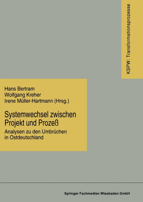 Systemwechsel Zwischen Projekt Und Prozess