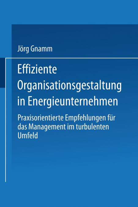 Effiziente Organisationsgestaltung in Energieunternehmen
