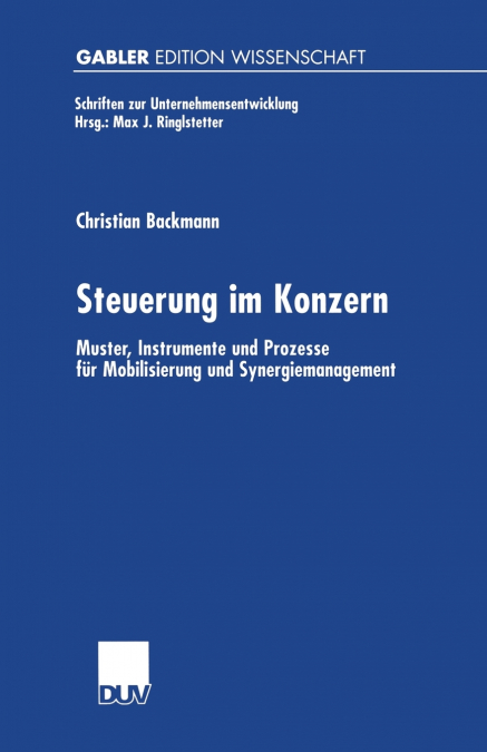 Steuerung Im Konzern