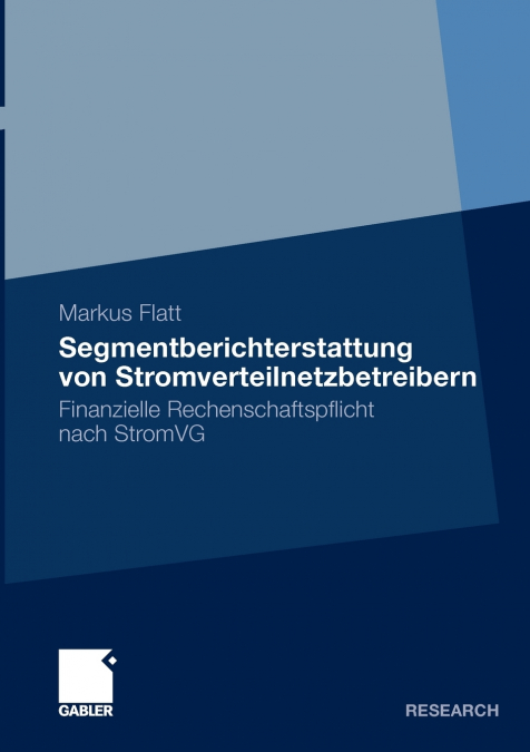 Segmentberichterstattung von Stromverteilnetzbetreibern
