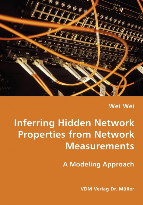 Inferring Hidden Network Properties from Network Measurements