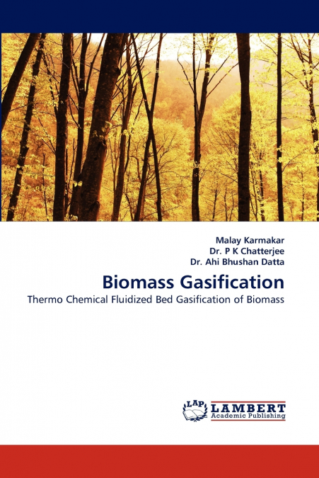 Biomass Gasification
