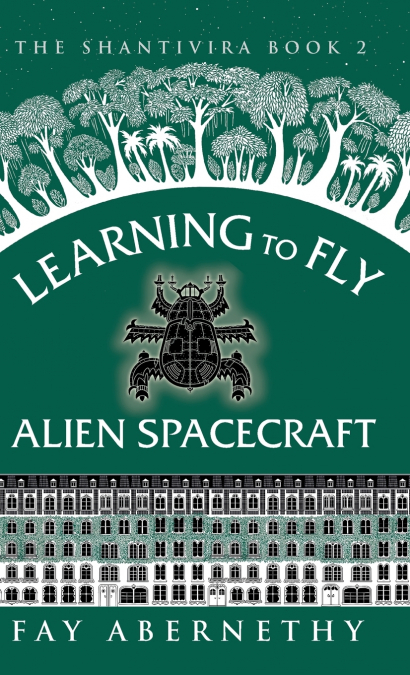 Learning to Fly Alien Spacecraft