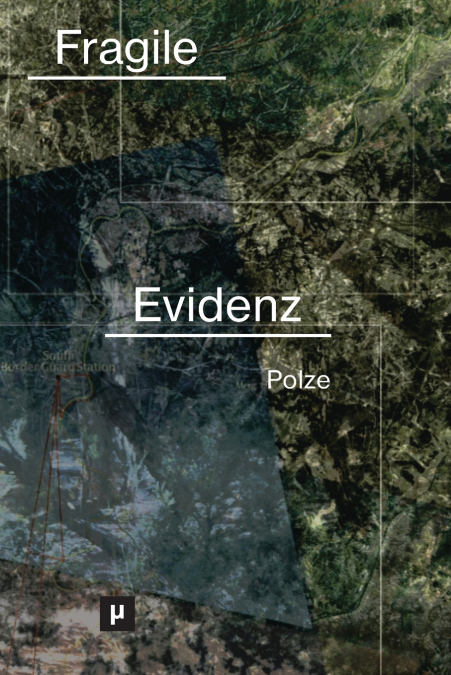 Fragile Evidenz