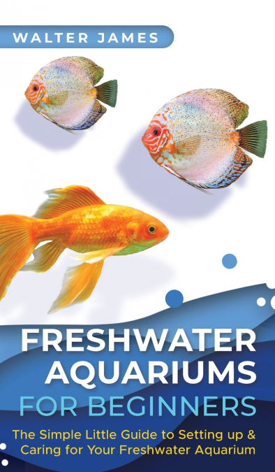 Freshwater Aquariums for Beginners