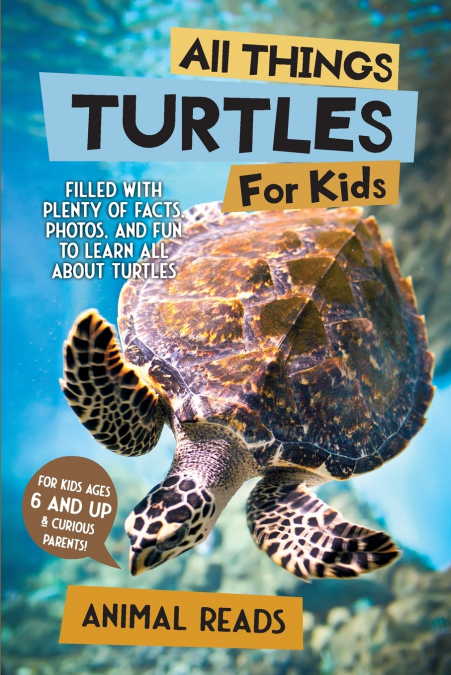 All Things Turtles For Kids