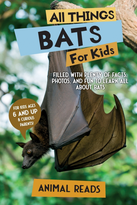 All Things Bats For Kids