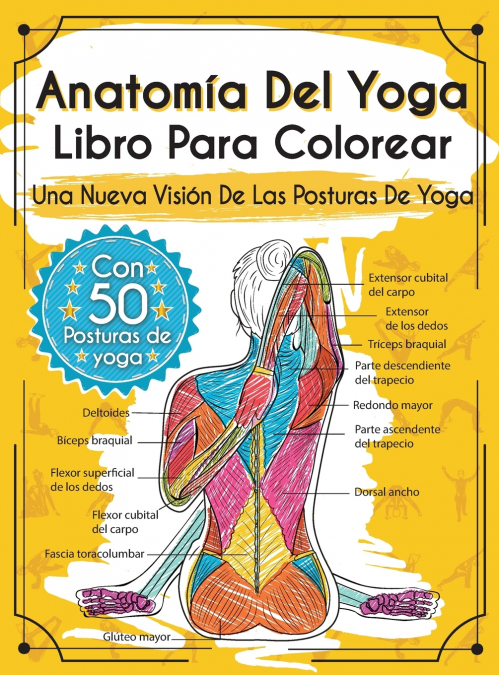 Anatomía Del Yoga Libro Para Colorear