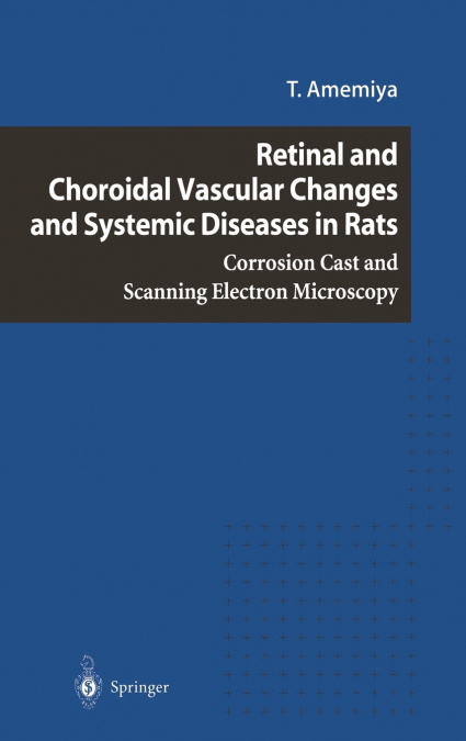 Retinal and Choroidal Vascular Changes and Systemic Diseases in Rats