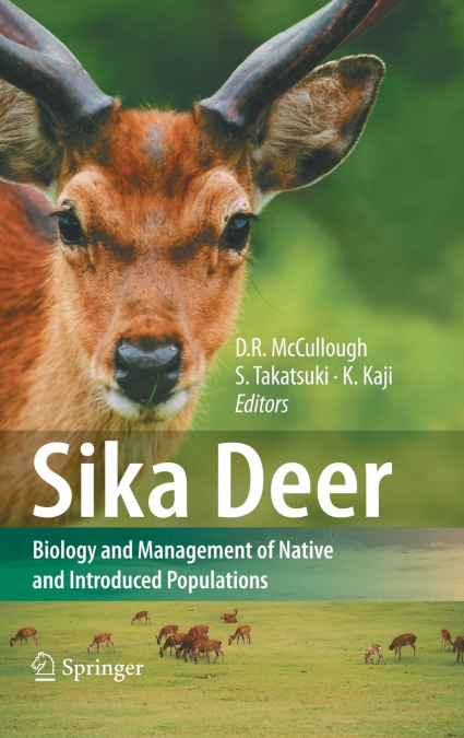 Sika Deer